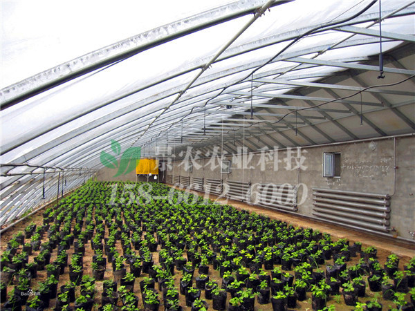 5e7484b24bda0.jpg timg (1).jpg