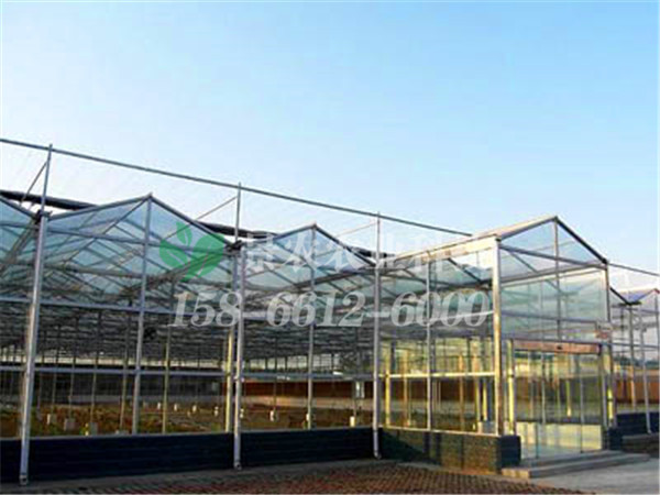 5e748c55cb801.jpg 20186231442153791.jpg